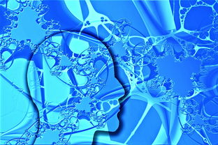 Leyu Sport下载-中国足球联赛市场营销策略创新升级,中国足球市场化现状