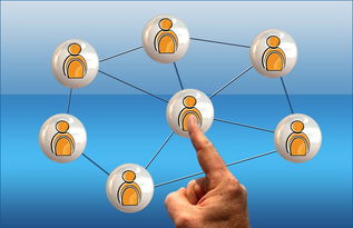 乐鱼体育平台官网-国际青少年足球交流不断深化,行业合作迈上新台阶,国际青少年足球邀请赛